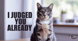 Funny cat puns image showing a judgmental cat with sarcastic attitude and meme-style humor