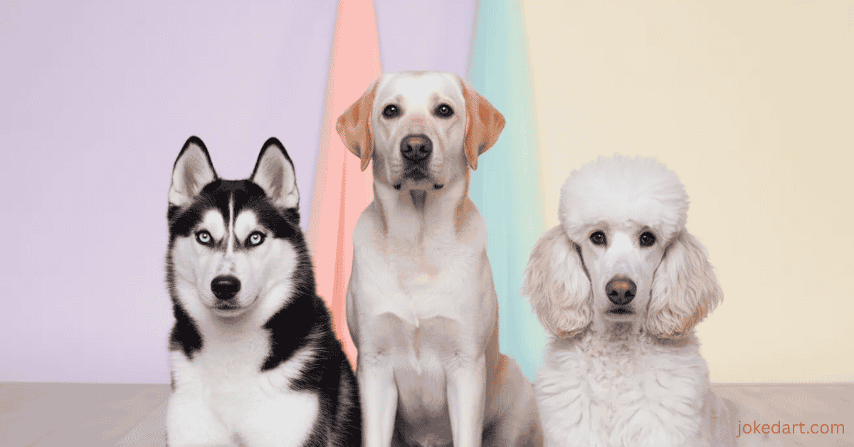 Different dog breeds with expressive faces representing dog puns by breed section