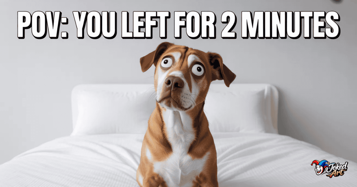 Funny dog meme POV you left for two minutes with expressive dog reaction
