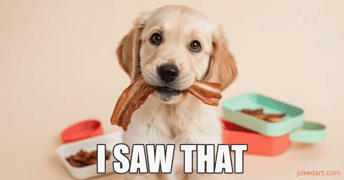 Relatable dog meme showing guilty dog face with funny dog pun caption I saw that