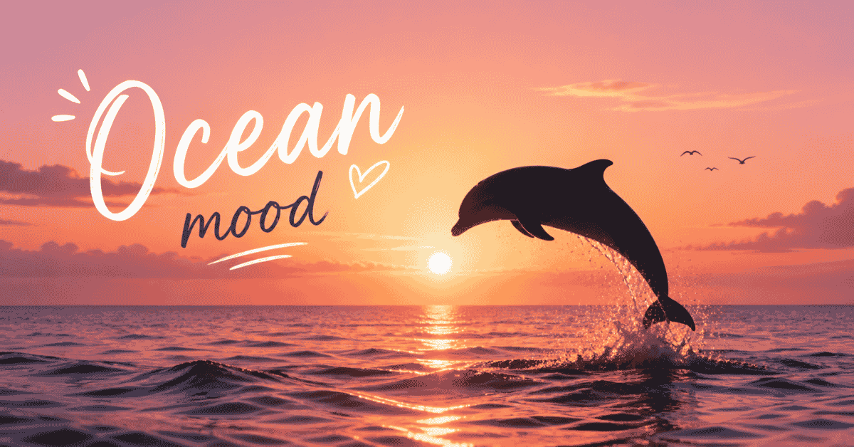 dolphin silhouette sunset ocean aesthetic caption mood image